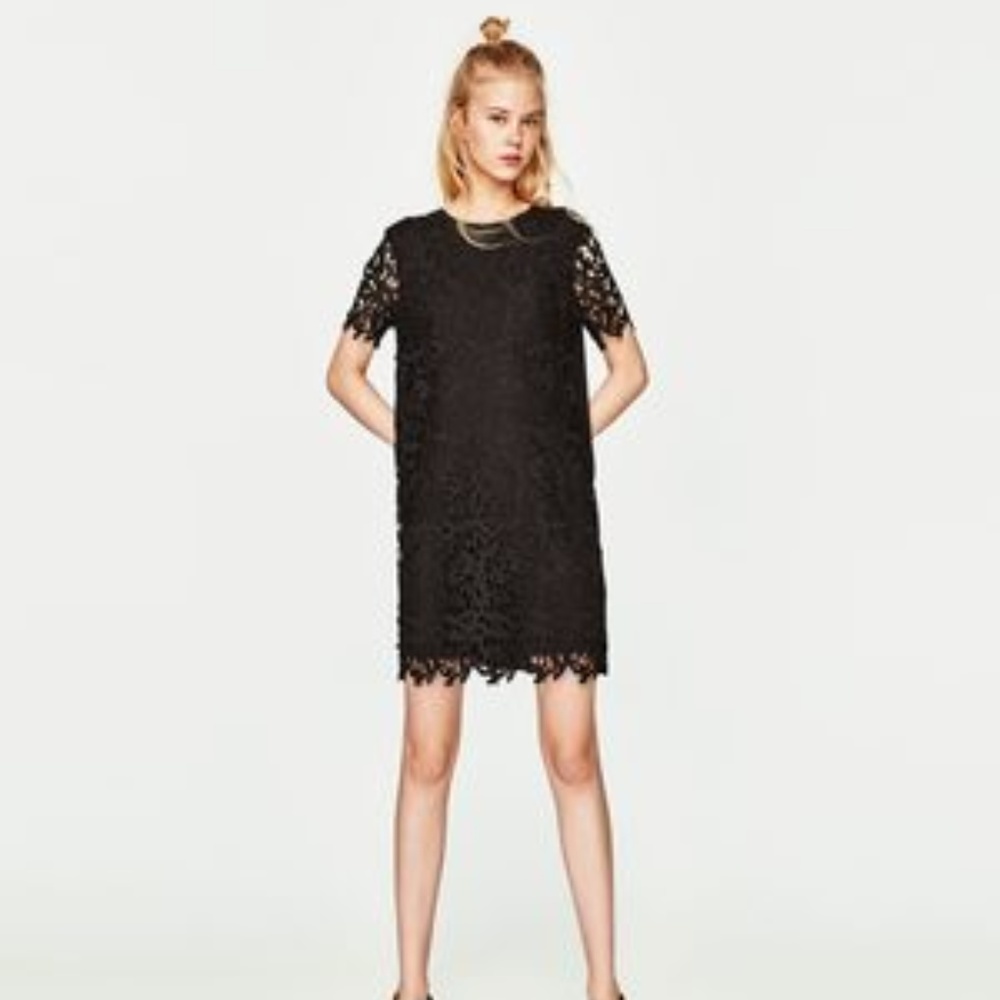 NWT Zara Lace Dress Size: Medium